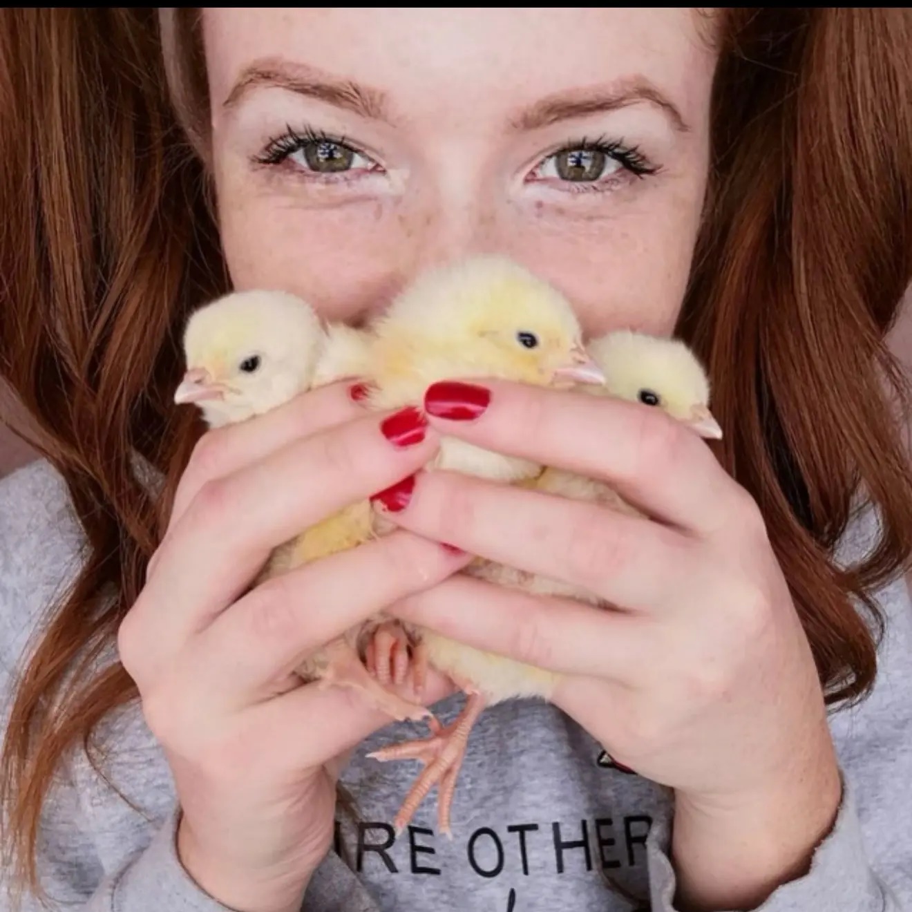 Иконка Канал Рыжий фермер — портал Max