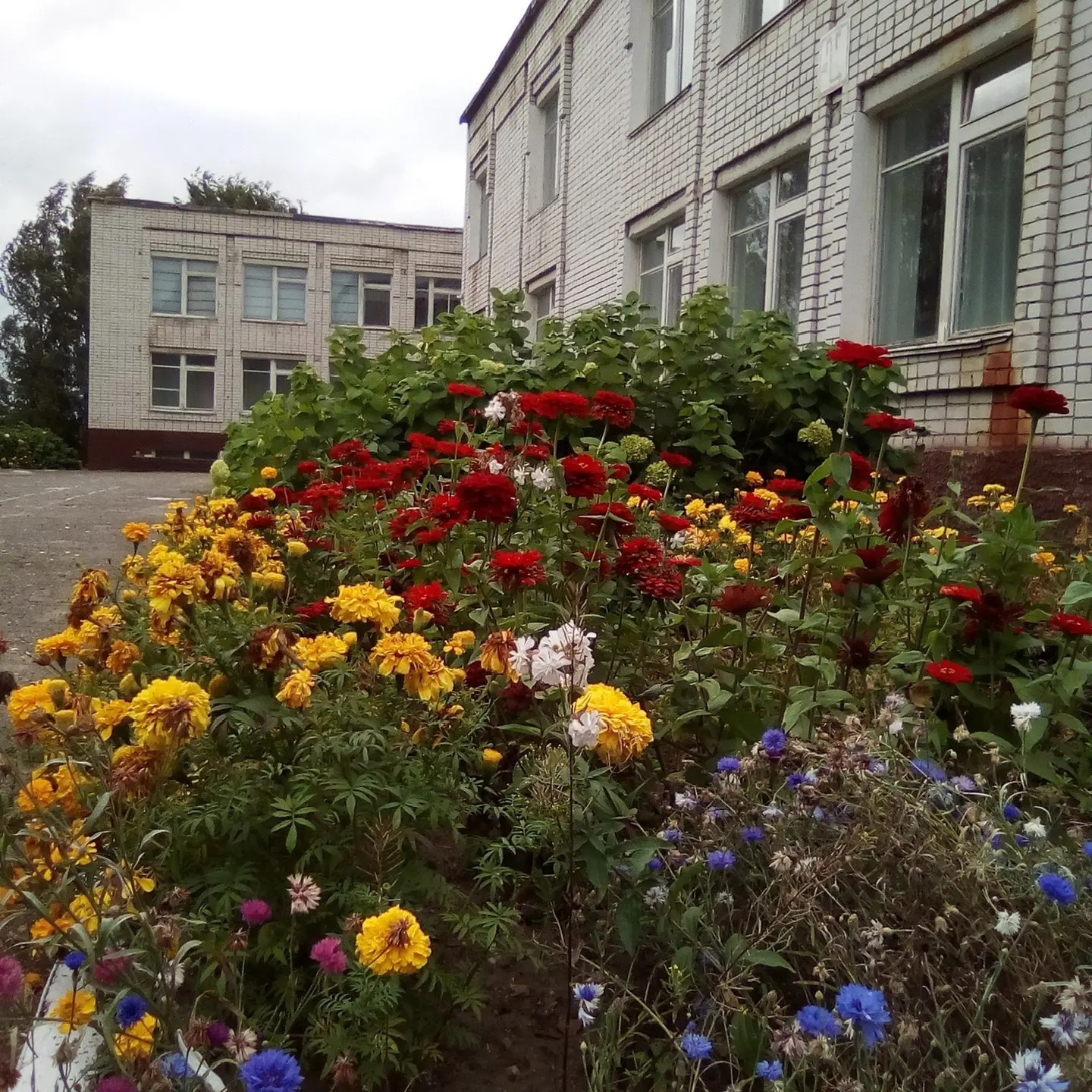 Иконка Канал МОБУ «Новоарбанская СОШ» — портал Max