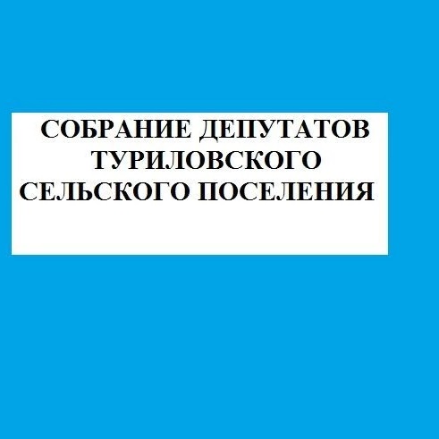 Иконка Канал Собрание депутатов Туриловского сельского поселения — портал Max