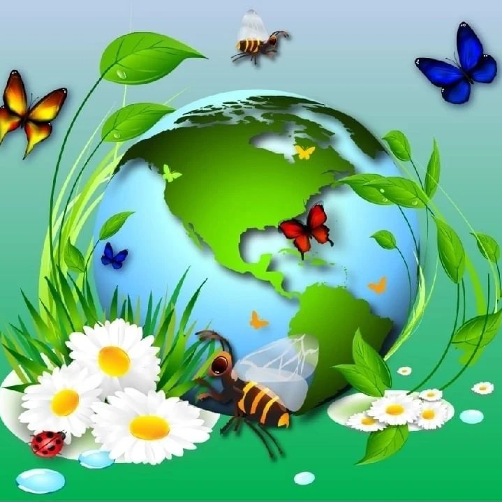 МБДОУ - детский сад № 71 — Канал Макс рейтинг МБДОУ - детский сад № 71