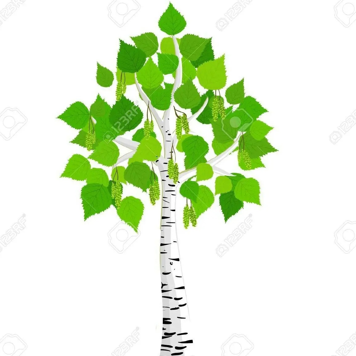 Иконка Канал МБДОУ Машуковский детский сад "Березка" — портал Max