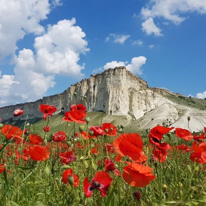 Иконка Канал Крымовед. О Крыме. Гид по Крыму — портал Max