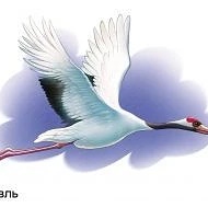 Иконка Канал МАДОУ МО г.Краснодар "Детский сад √190" — портал Max