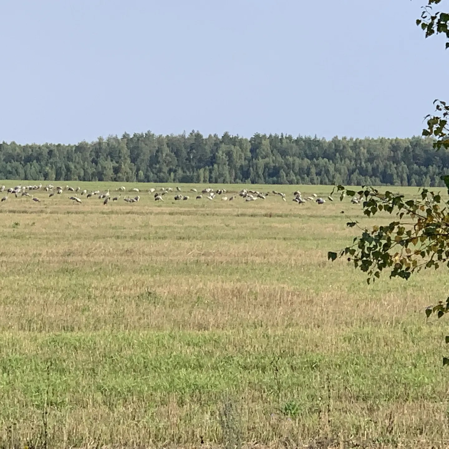 Иконка Канал Департамент природных ресурсов и экологии Ивановской области — портал Max