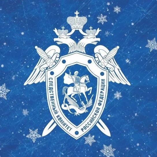 Иконка Канал СУ СК России по Кировской области — портал Max