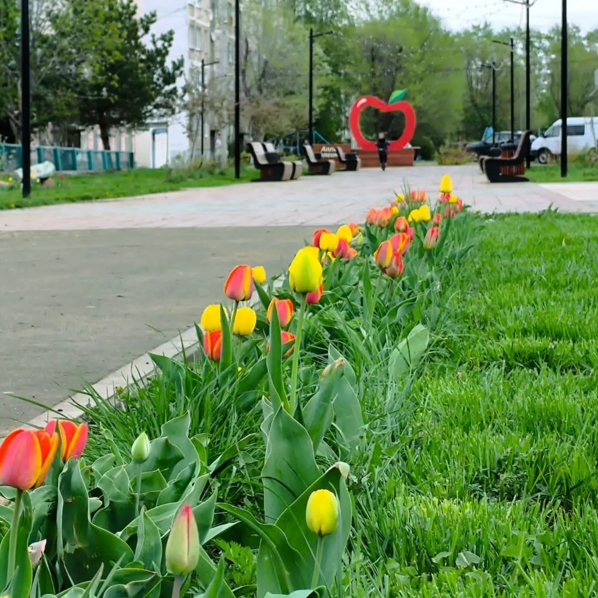Красное сельцо сегодня — Канал Макс рейтинг Красное сельцо сегодня