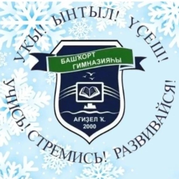 Иконка Канал "Башкирская гимназия" ГО г. Агидель — портал Max