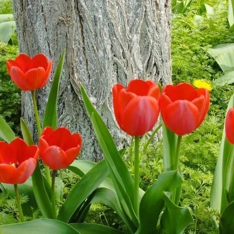 Иконка Канал dshi22.astr.muzkult.ru — портал Max