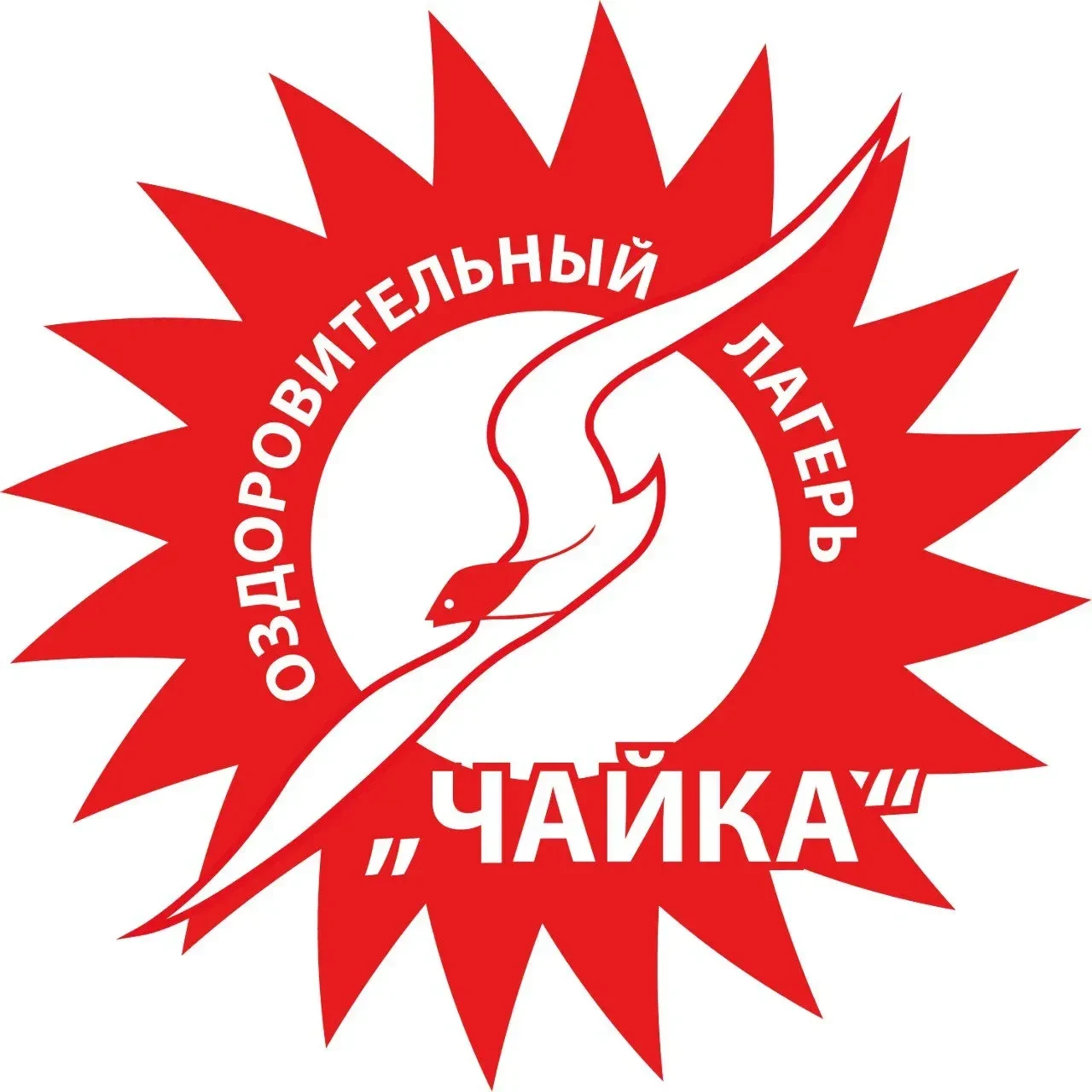 Иконка Канал МБУ ДОЛ Чайка Междуреченск — портал Max