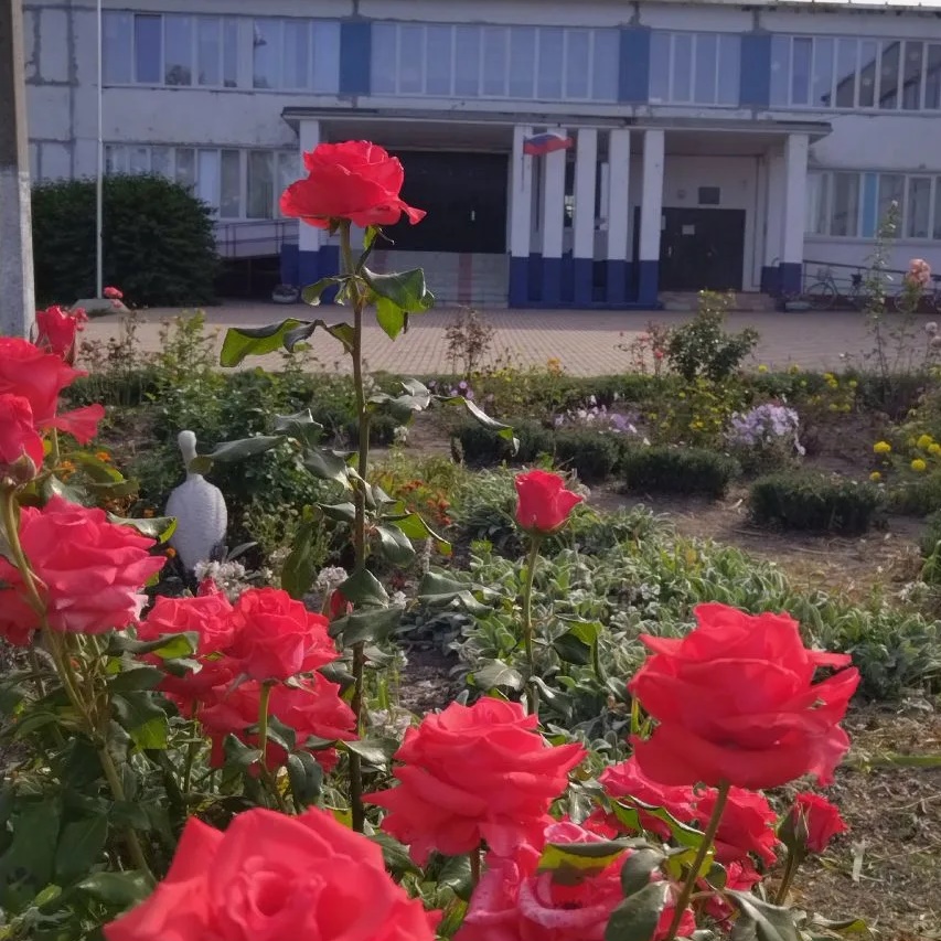 Иконка Канал МКОУ "Бобрышевская СОШ" — портал Max