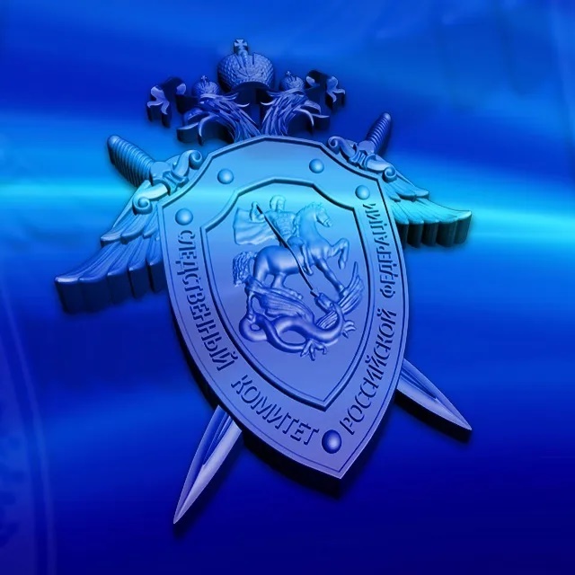 Иконка Канал СУ СКР по Новгородской области — портал Max