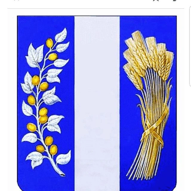 Иконка Канал Бичура-инфо.24/7 — портал Max