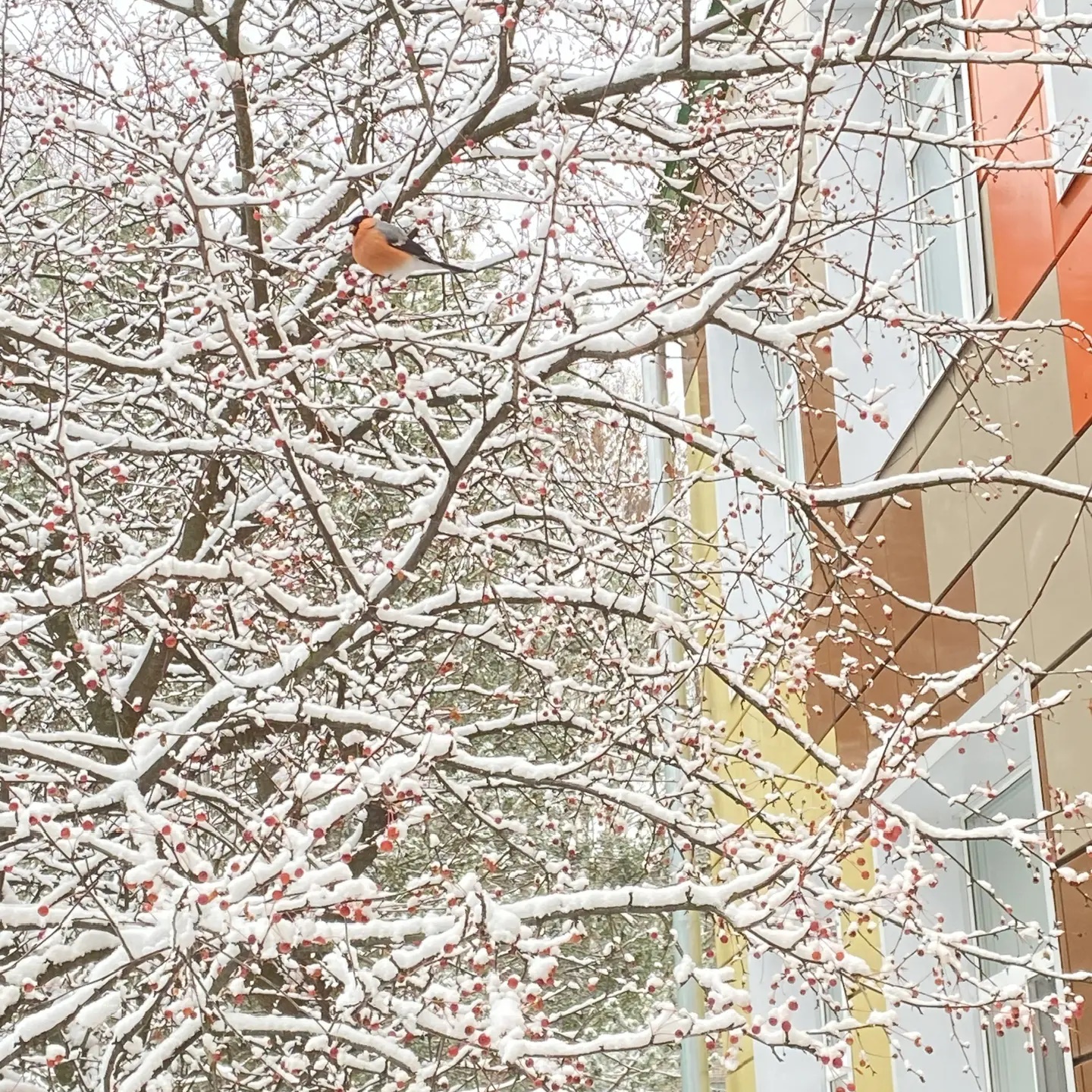 БУ СО ВО «ВЦПД (специализированный)» — Канал Макс рейтинг БУ СО ВО «ВЦПД (специализированный)»