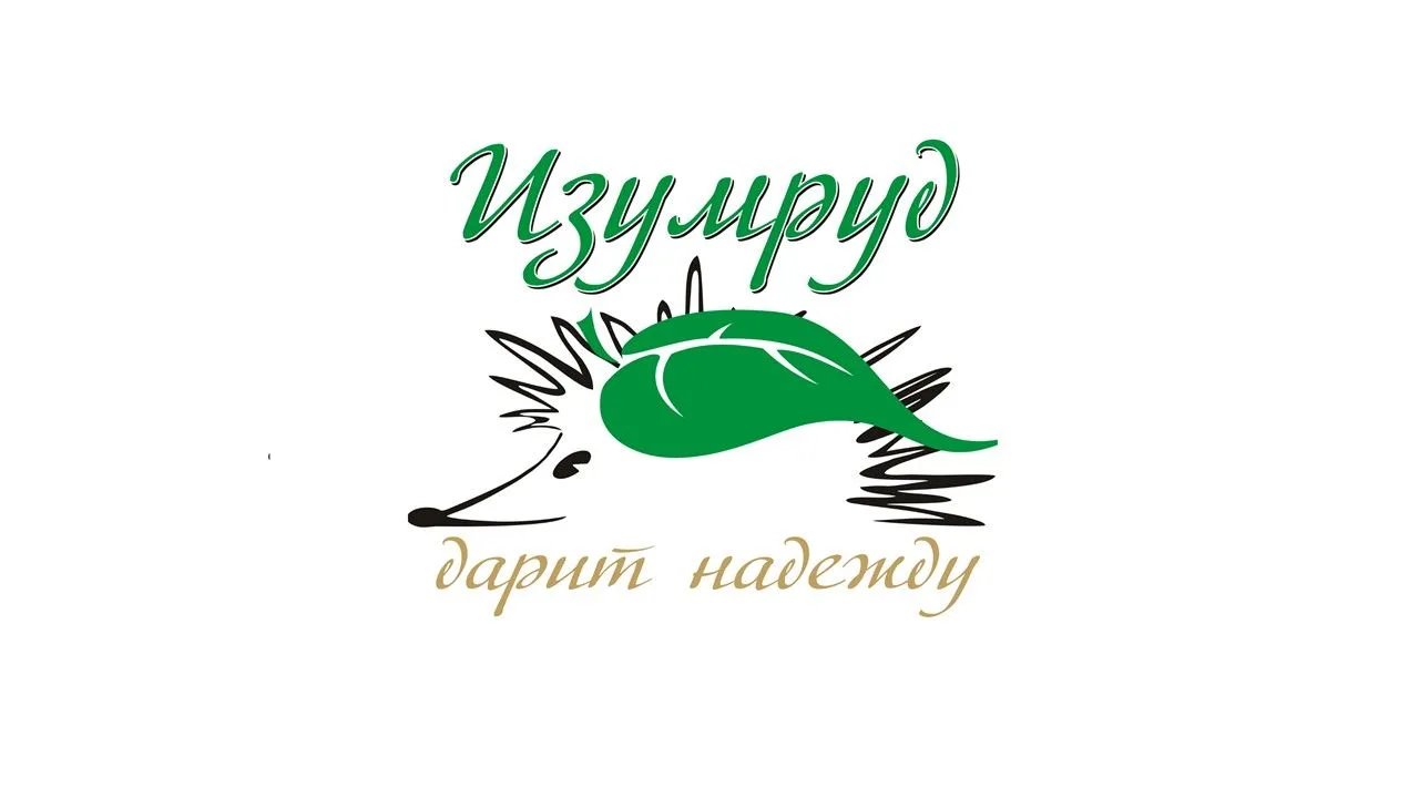 Иконка Канал ГАУСО СО "КЦСОН "Изумруд" города Кировграда" — портал Max