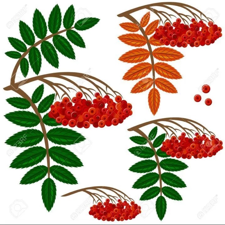 Иконка Канал МБДОУ ДЕТСКИЙ САД 28 "РЯБИНКА" СЕЛА ЧЕХОВ — портал Max