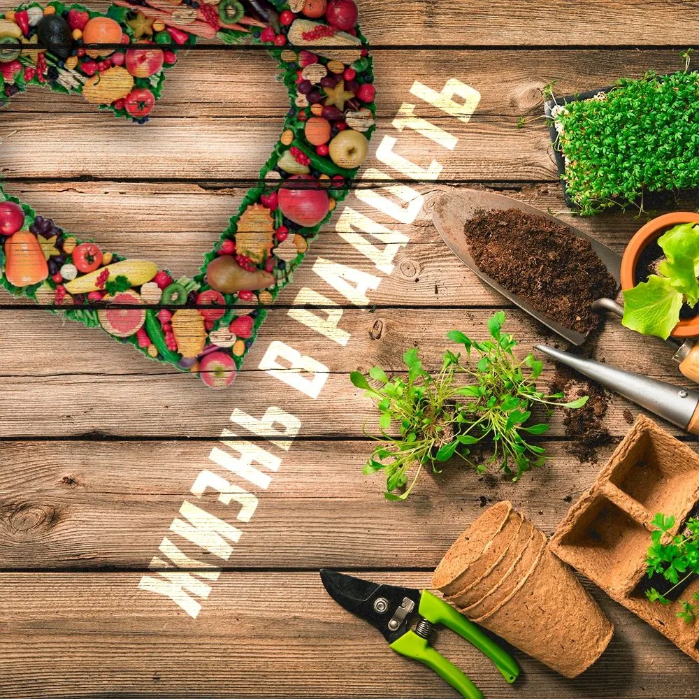 Иконка Канал Жизнь в радость — портал Max