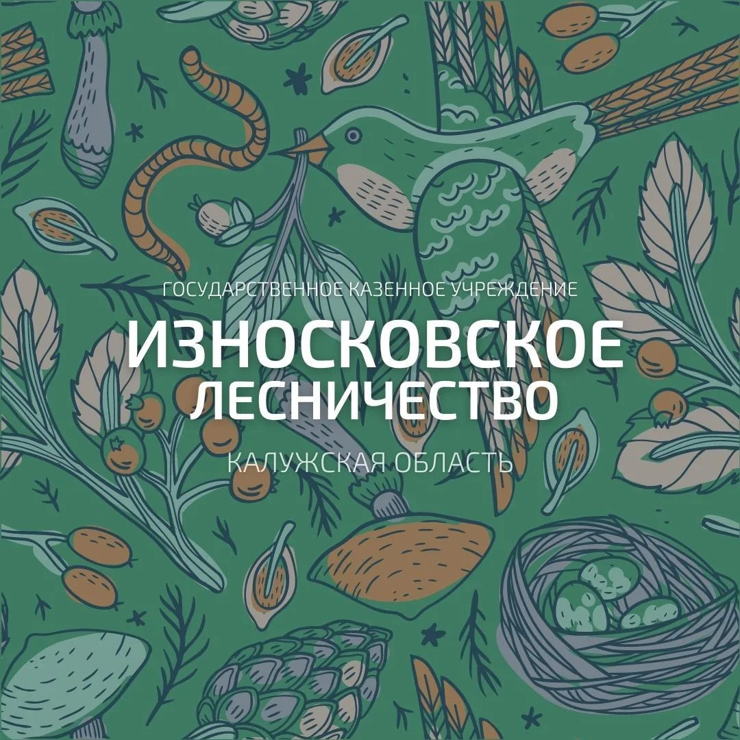 Иконка Канал ГКУ КО "Износковское лесничество" — портал Max