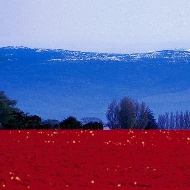 Иконка Канал Россия Молодая — портал Max