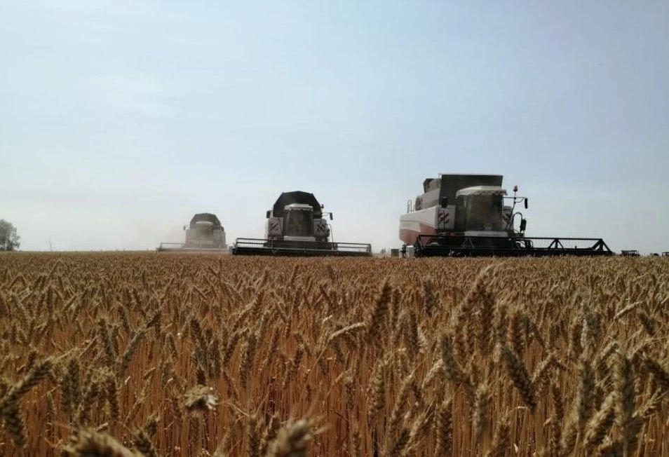 Иконка Канал Минсельхоз Башкортостана — портал Max