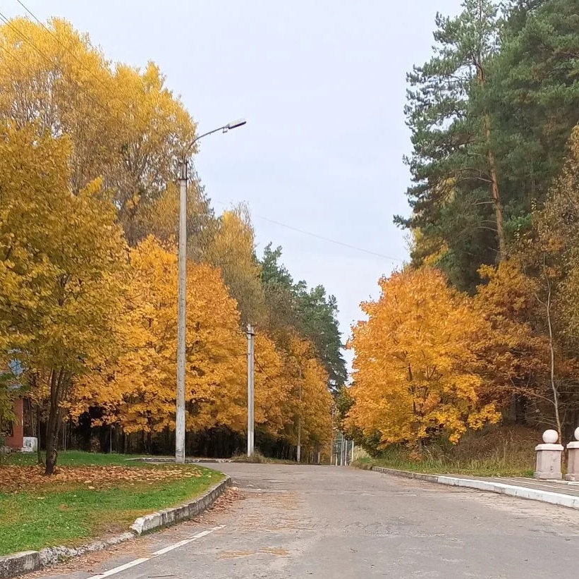 Иконка Канал МБДОУ Жудерский детский сад Лесовичок — портал Max