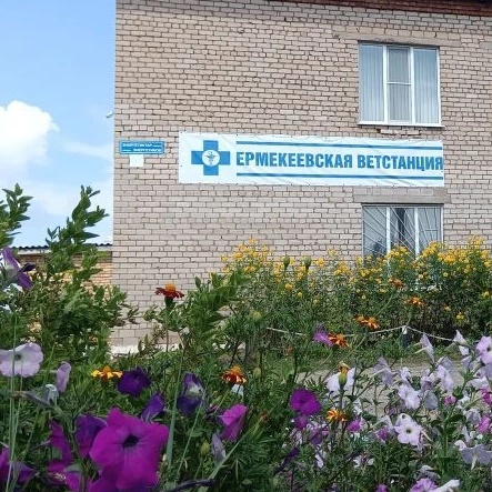 ГБУ ЕРМЕКЕЕВСКАЯ РВС — Канал Макс рейтинг ГБУ ЕРМЕКЕЕВСКАЯ РВС