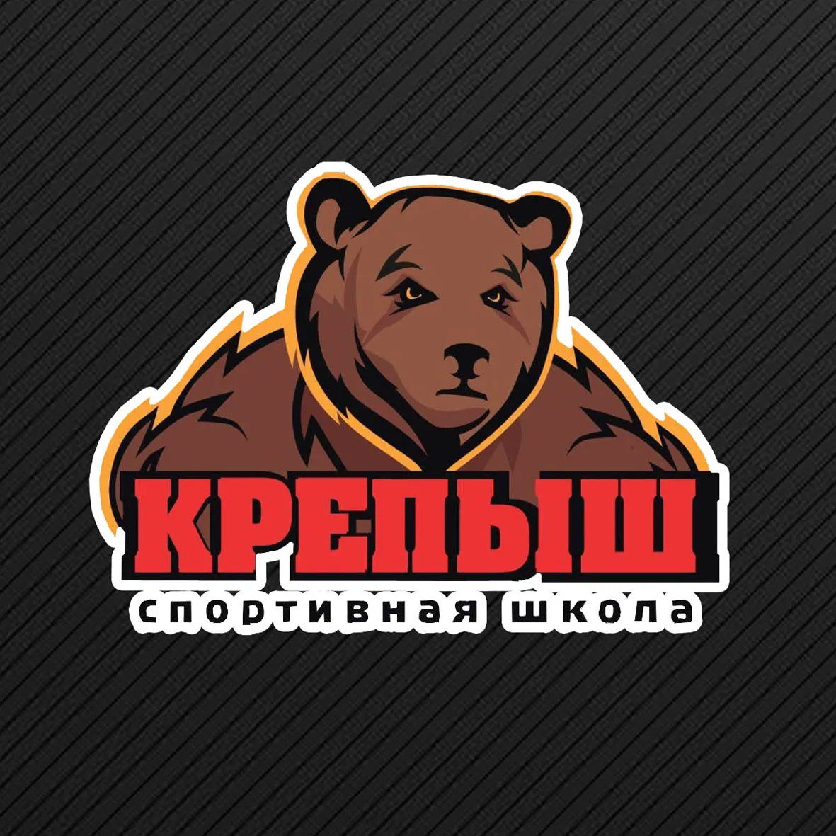 Иконка Канал Спортивная школа "Крепыш" им. Тамазова К.Х. — портал Max