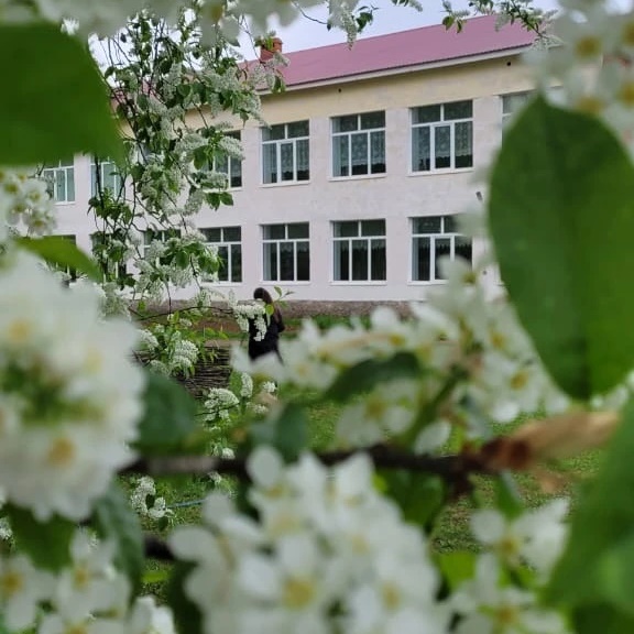 СОШ с.Маскара им. Н.А.Самигуллина — Канал Макс рейтинг СОШ с.Маскара им. Н.А.Самигуллина