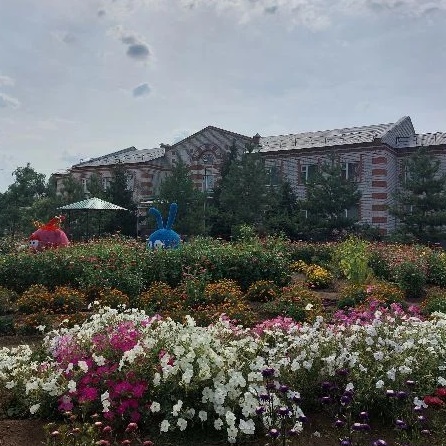 Иконка Канал Информационный канал ГКОУ "Детский дом" с. Кирсановка Тоцкого района Оренбургской области. — портал Max