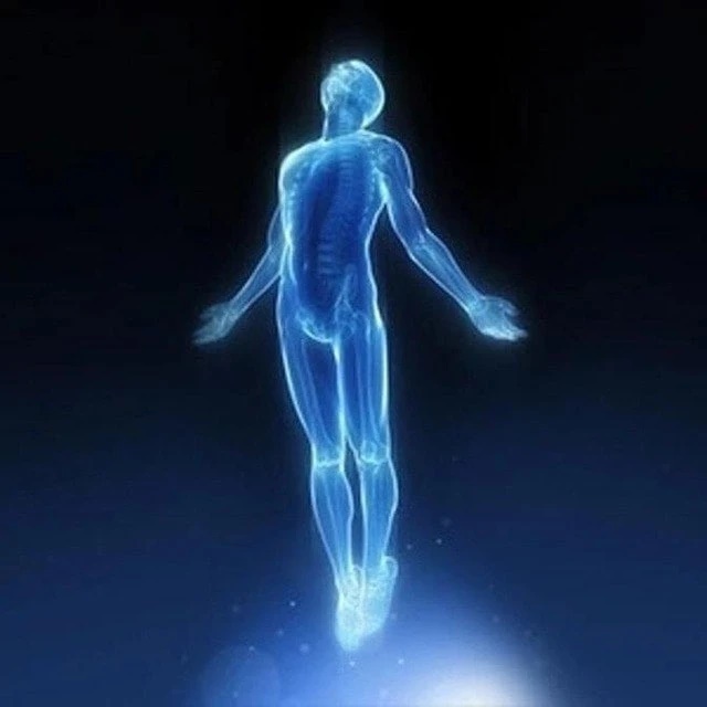 Основы жизни — Канал Макс рейтинг Основы жизни