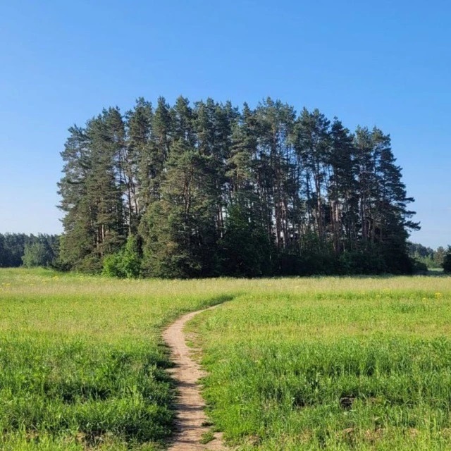 Иконка Канал Ильинское. Новости — портал Max