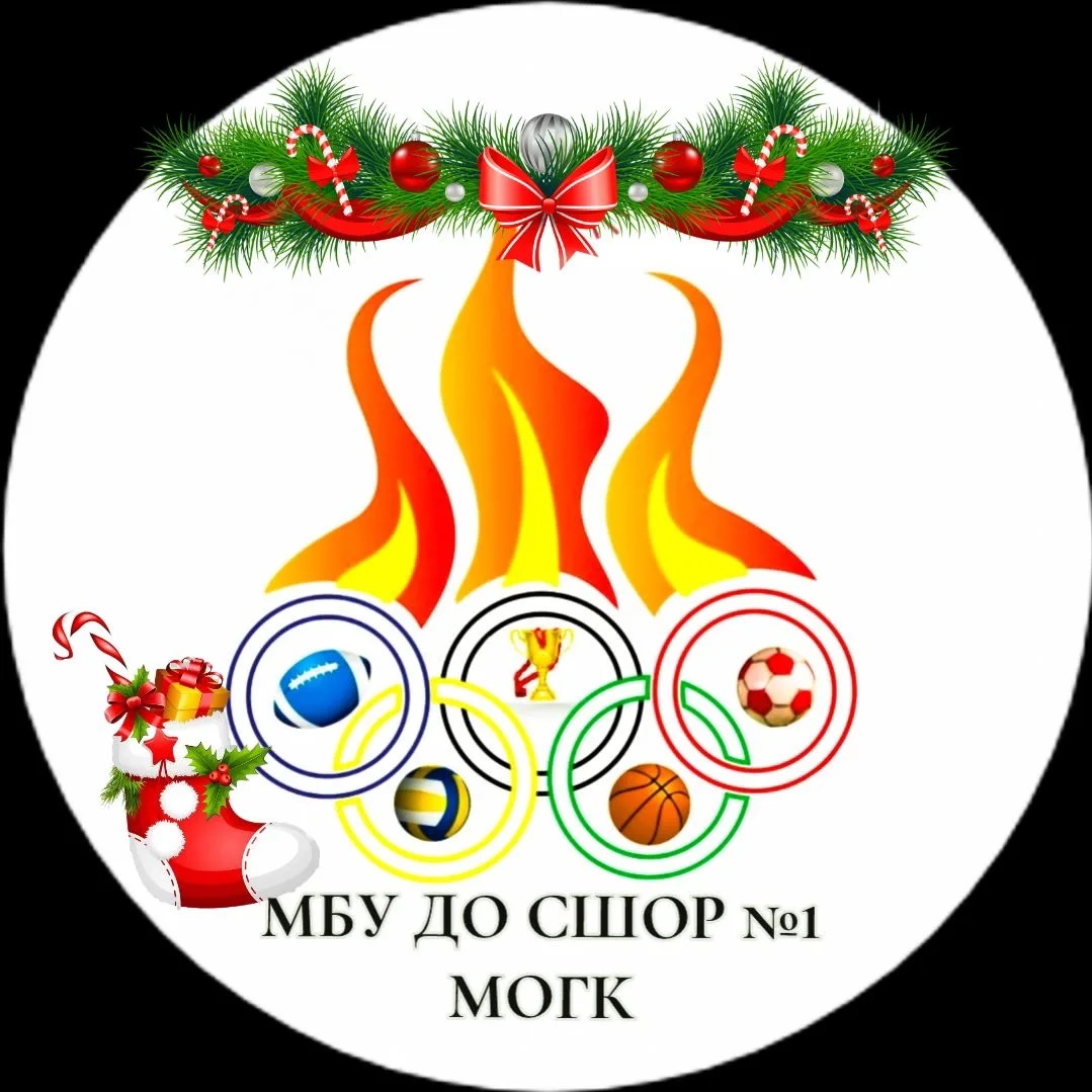 Иконка Канал МБУ ДО СШОР №1 МОГК — портал Max