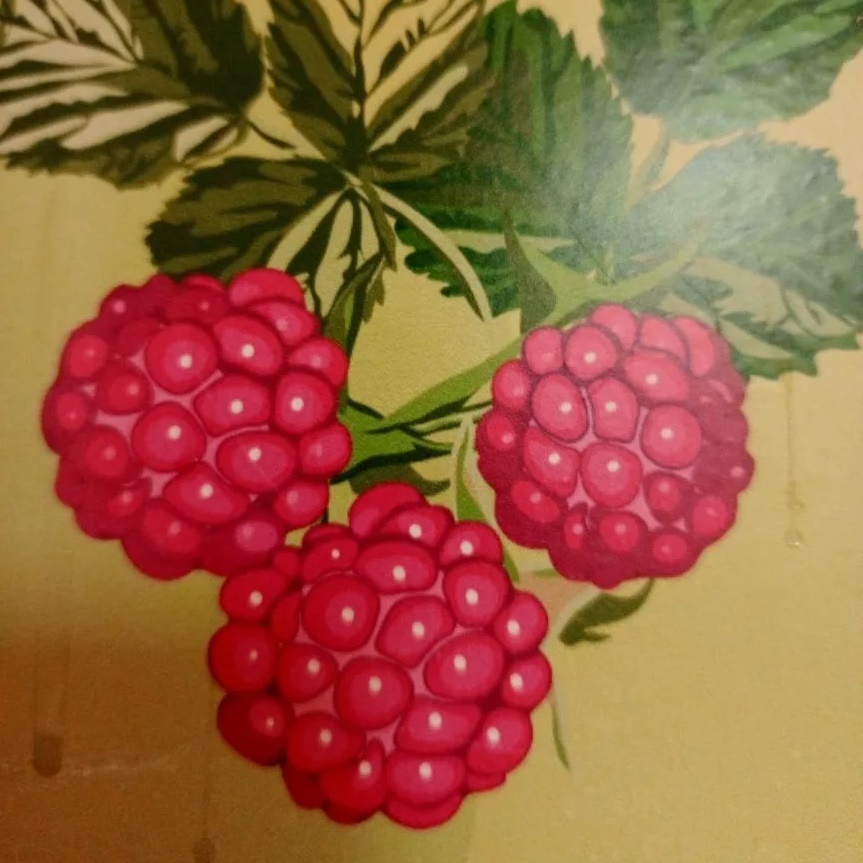 Иконка Канал МДОБУ" Медведевский детский сад №1 " Ягодка" — портал Max