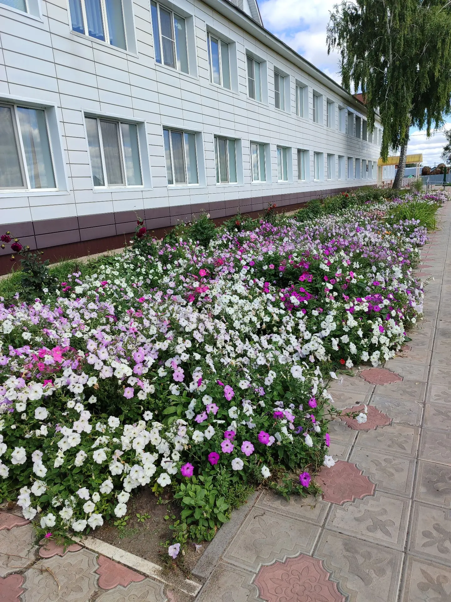 Иконка Канал МБДОУ "Адав-Тулумбаевский детский сад №6 БМР РТ" — портал Max