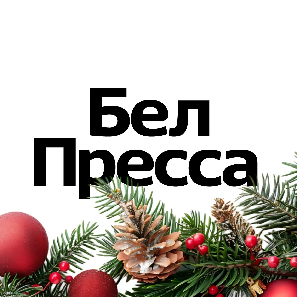 БелПресса | Новости Белгорода и области — Канал Макс рейтинг БелПресса | Новости Белгорода и области