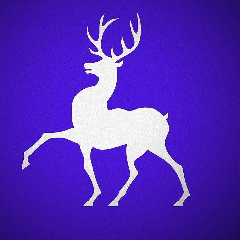 Иконка Канал МБУК "БСКО" районный Дом Культуры г. Богородск — портал Max