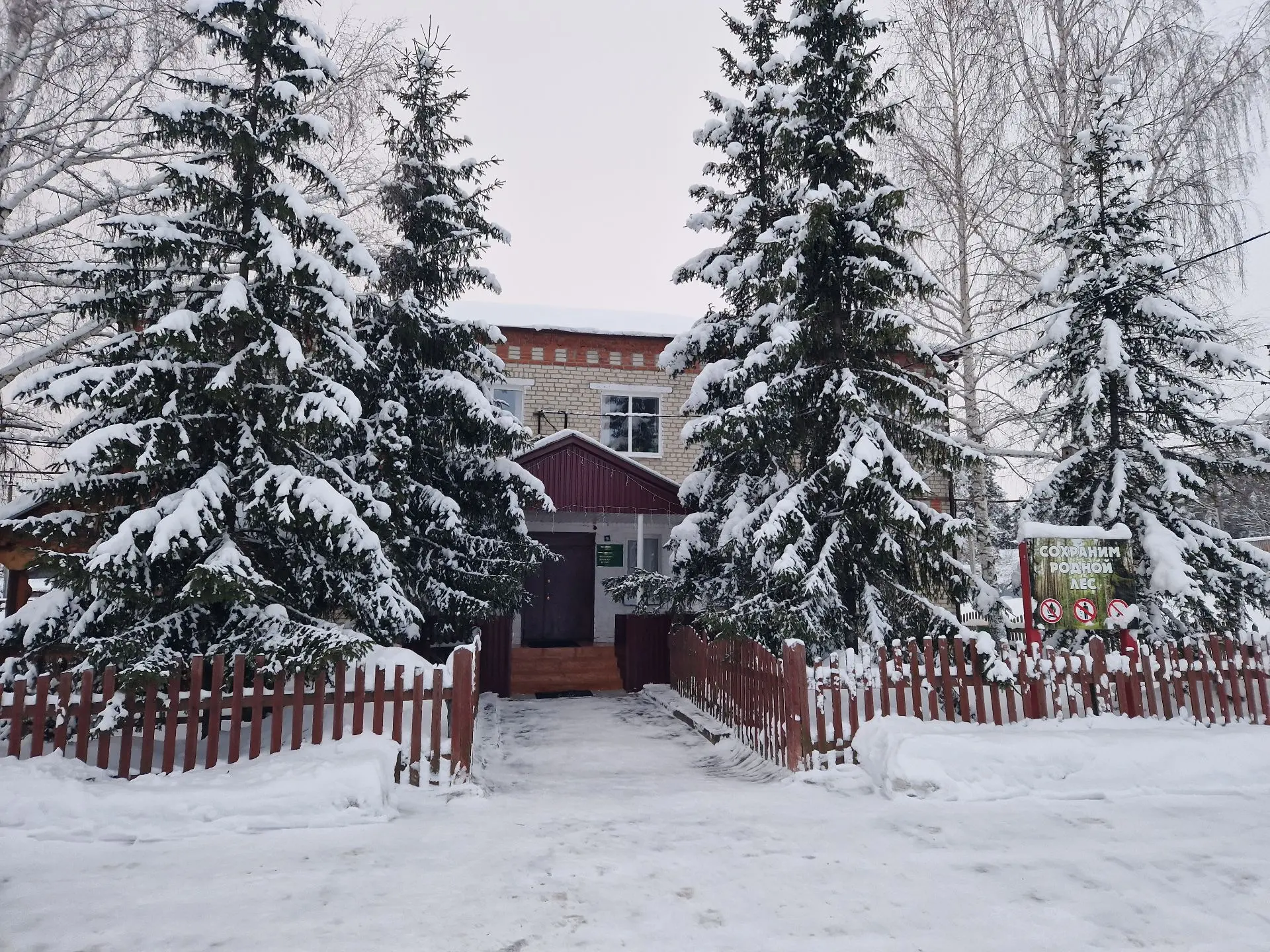 Иконка Канал ГКУ РМ "Березниковское территориальное лесничество" — портал Max