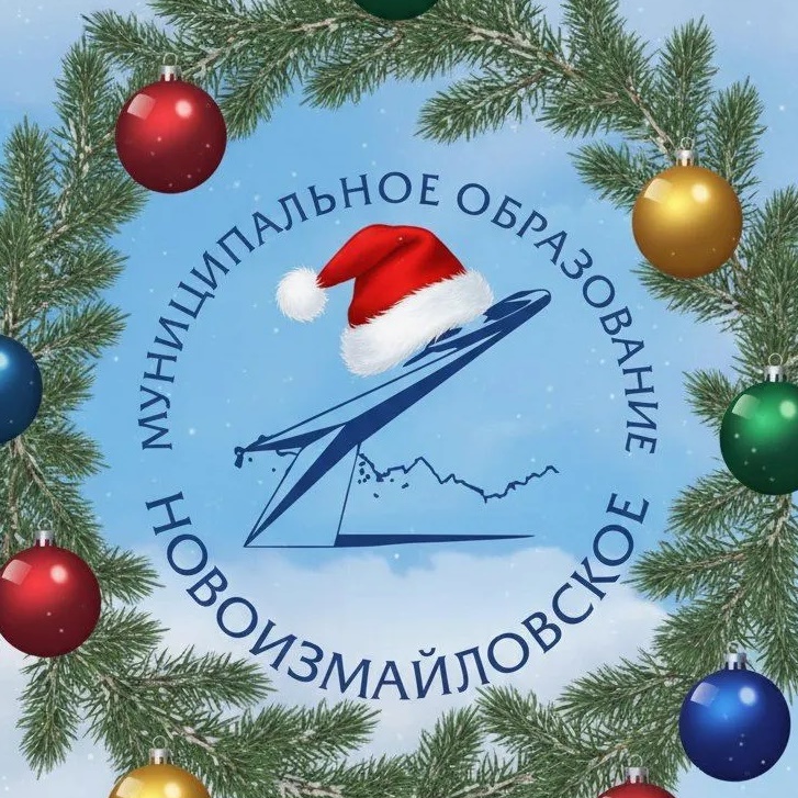 Иконка Канал Местная администрация МО Новоизмайловское — портал Max