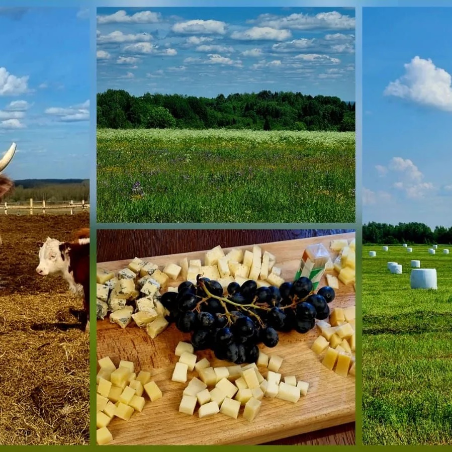 Иконка Канал Комитет АПК — портал Max