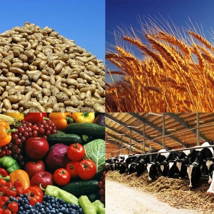 УСХиП Камское Устье — Канал Макс рейтинг УСХиП Камское Устье