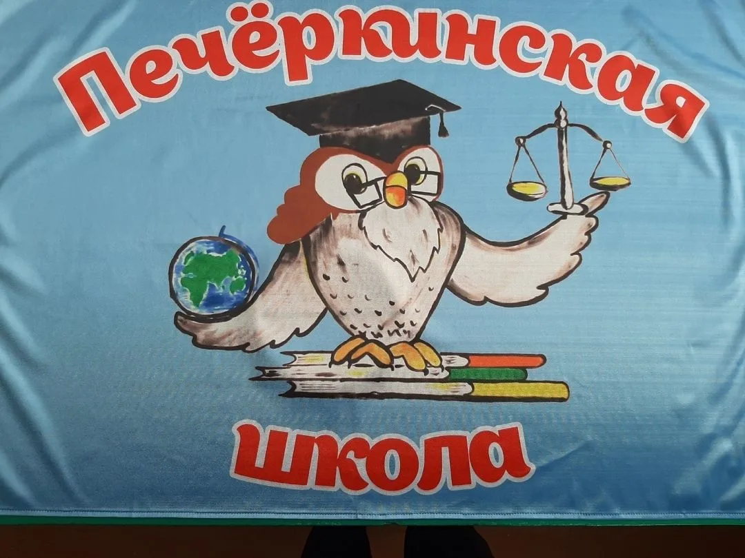 Иконка Канал МБОУ ПМО СО "Печеркинская СОШ" — портал Max