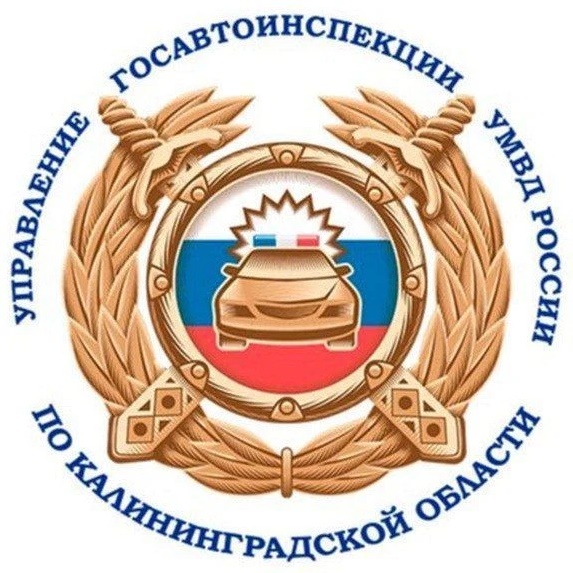 Иконка Канал Госавтоинспекция 39 — портал Max