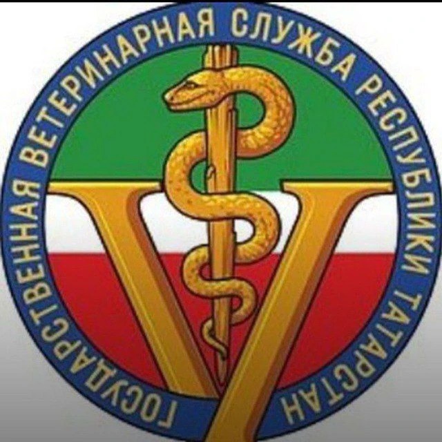 Иконка Канал ГБУ "Нурлатское РГВО" — портал Max