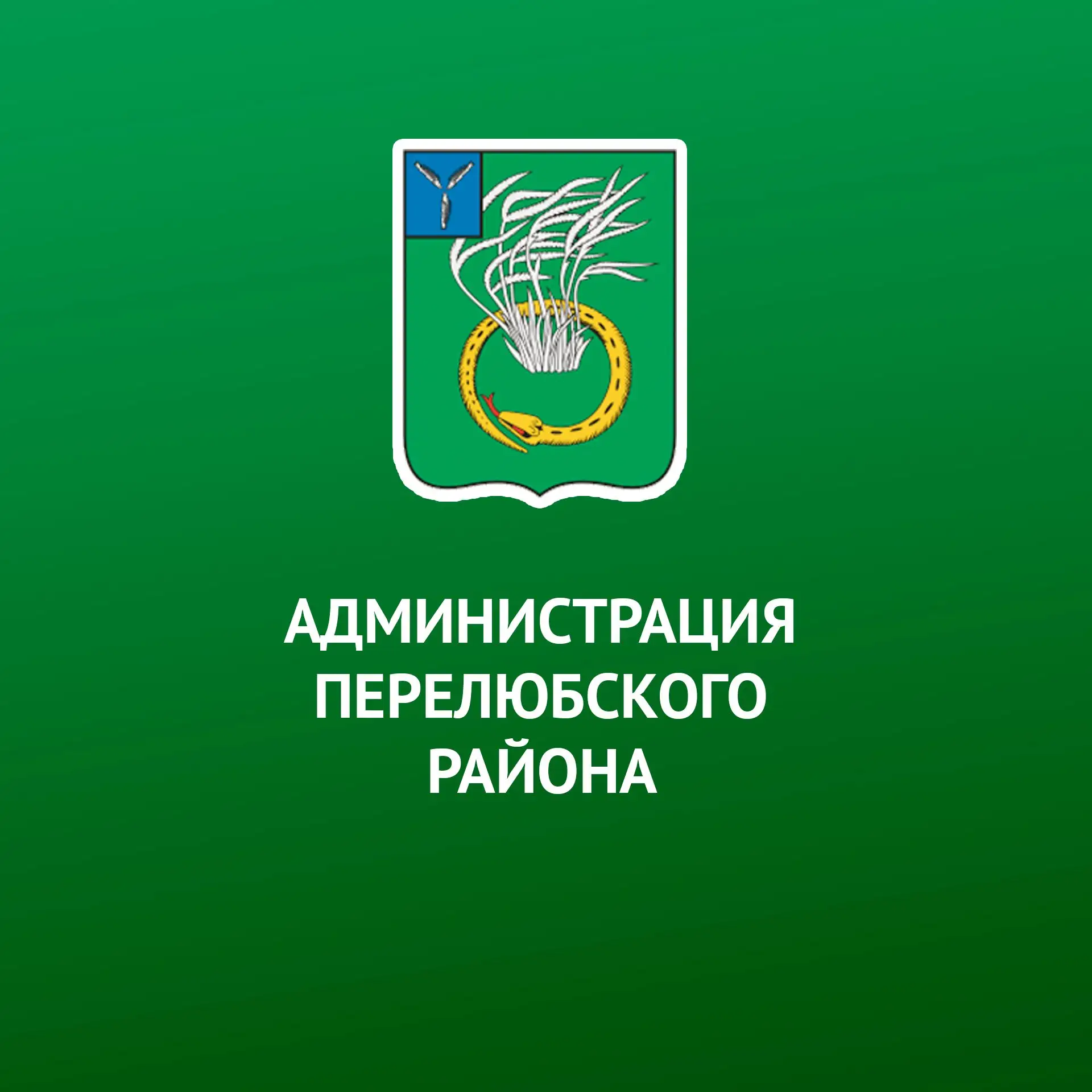 Иконка Канал Администрация Перелюбского района — портал Max