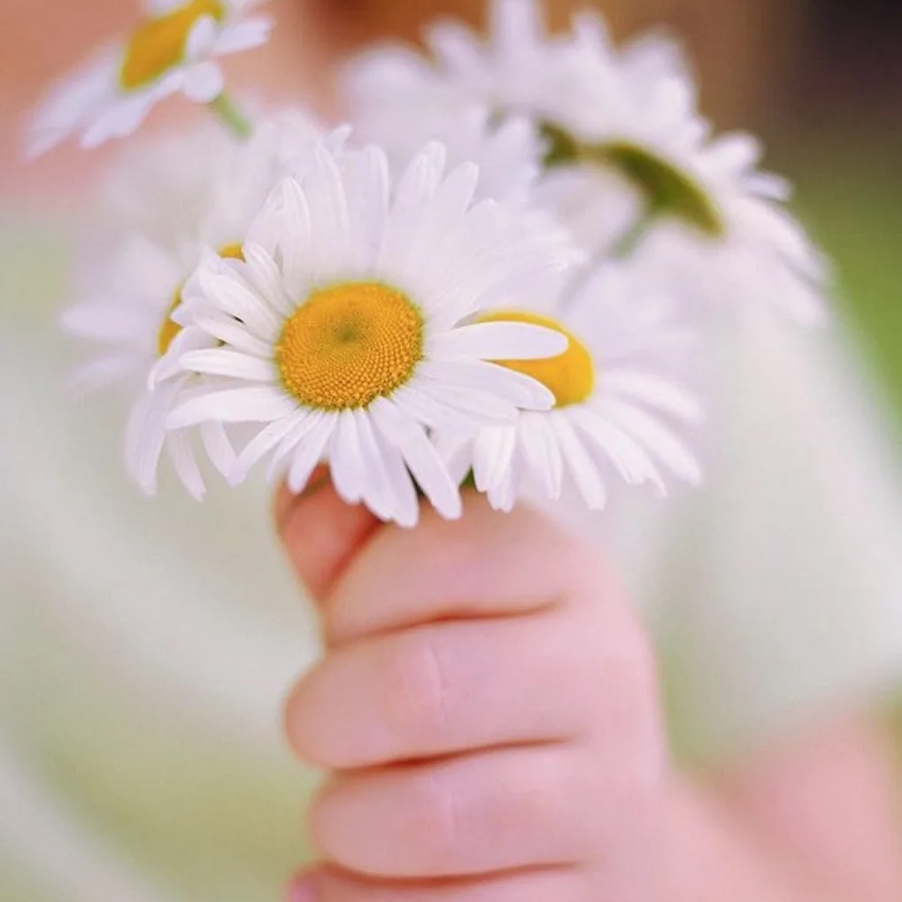 Иконка Канал МКДОУ "Детский сад № 9 "Ромашка" — портал Max