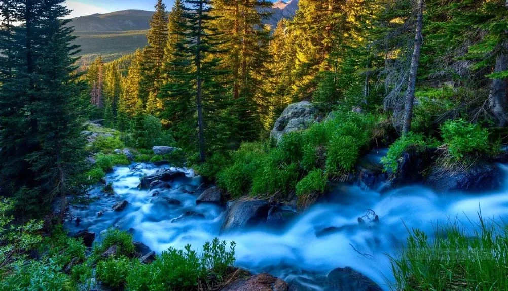 Иконка Канал NamTV — портал Max