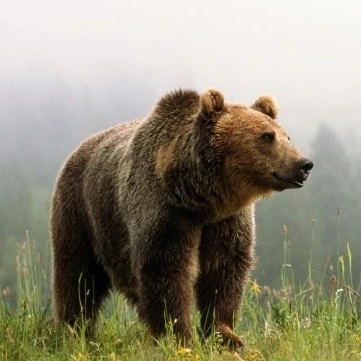 Иконка Канал Красивая Россия — портал Max