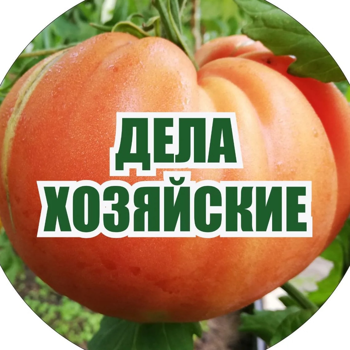 Иконка Канал Дела Хозяйские — портал Max