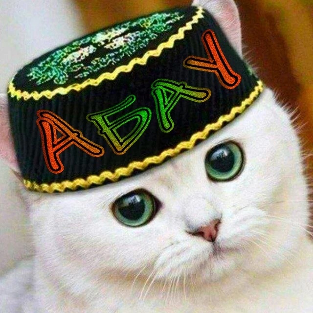 Иконка Канал Абау — портал Max