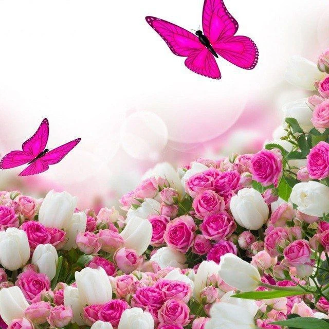 Иконка Канал Открытки С добрым утром Спокойной ночи Днем рождения Доброе утро Поздравления Православные Добрый день вечера Кошки Пожеланиями Картинки Котики Открытка дня Доброй Красивые Животные Маникюр Музыка — портал Max