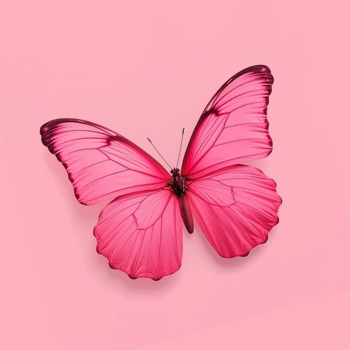 Иконка Канал З Е Ф И Р — портал Max